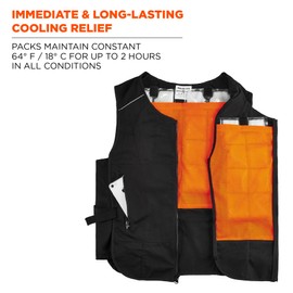 Cooling Vest with 4 Ice Packs, Lightweight, Quick Recharge Cooling, Ergodyne Chill Its 6260