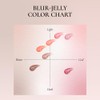 Buller Jelly Volume Lip Tint, 3.5g, Korean Cosmetics (Coral Gelee)