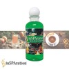 inSPAration Spa and Bath Aromatherapy 100HOLHSX Spa Liquid, 9-Ounce, Holiday
