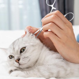 Lwuey Hemostat Forceps, Stainless Steel Pet Dog Grooming Ear Cleaning Clamp Pets Cat Ears Hairs Tweezers with Curved Tip Antislip Locking Forceps Remover Tools Supplies Trimmer Accessories(Small)