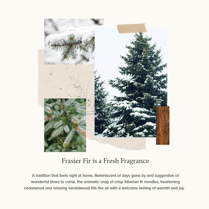 Thymes Frasier Fir Reed Diffuser Set – Includes Reeds, Fragrance