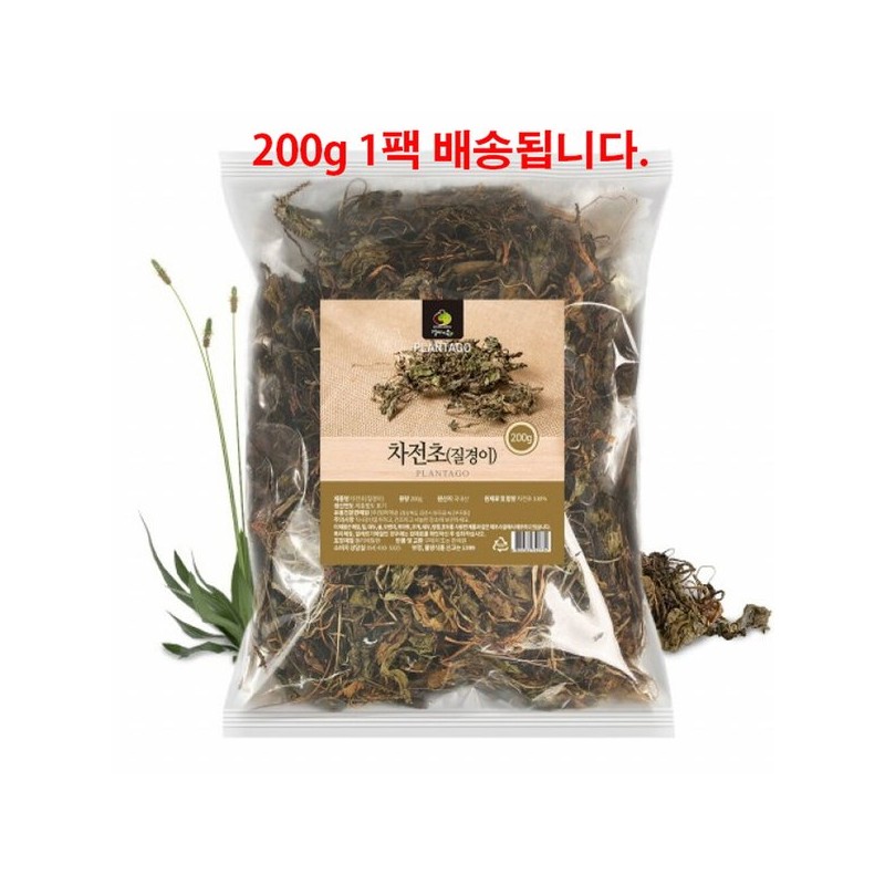 차전자피 식이섬유 차전차피 질경이 차전초 원물 단백질 Psyllium Husk Dietary