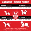 Boss Dog Tactical Harness, Red, Small