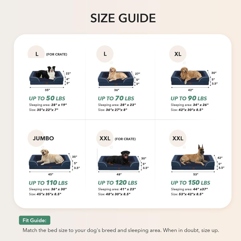 Casa Paw Orthopedic Dog Beds for Large Sized Dogs, Waterproof