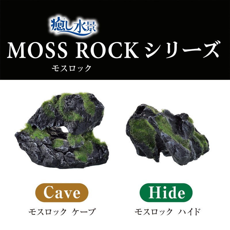 Healing Water Scenery Moss Rock Hide