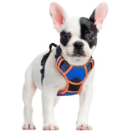 rabbitgoo Dog Harness Small Dog No Pull Pet Harness with 2 Leash Clips, Adjustable Soft Padded Pet Vest, Reflective No-Choke with Easy Control Handle for Training or Walking, Blue Orange, S