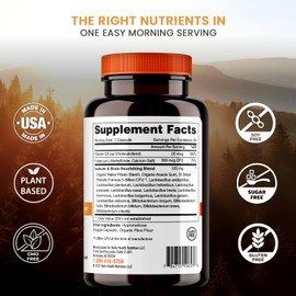 Daily Probiotic for Women, Men + Kids Probiotic –Belly Great Prebiotics and Probiotics for Gut Health & Immune Support + Vitamin D3, Folate B Vitamins: 15 Strain, Gluten Free -60 Count