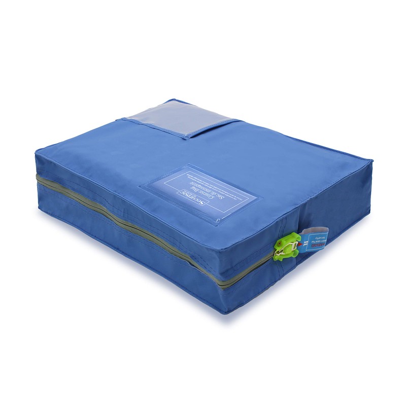 SECURISAC Tamper Evident Seal Cash Bank Bag - Security Tag