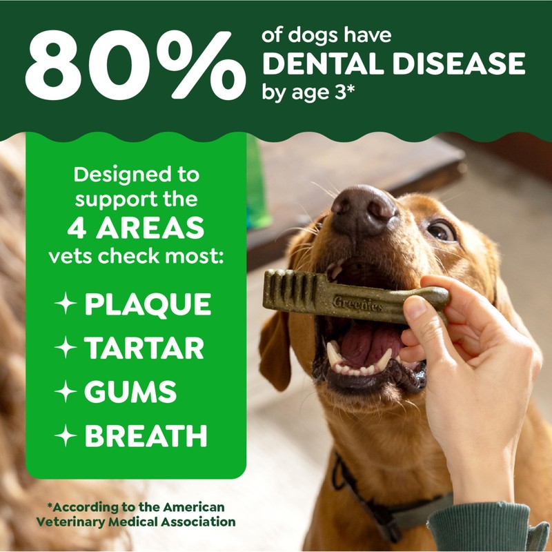 Greenies Veterinarian-Recommended Adult Natural Dental Dog Treats Regular Size, Original