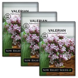 Sow Right Seeds - Valerian Seeds for Planting - Non-GMO Heirloom Packet with Instructions to Plant an Outdoor Herb Garden - Fragrant with Medicinal Benefits - Valerian Root for Sleep & Calm (3)