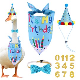 BOXOB Happy Birthday Porch Goose Outfits, Goose Costume Clothes Birthday Bandana Hat Bow Tie 0-8 Number Stickers for Yard Lawn Cement Plastic Geese Ducks Decorations (Blue)