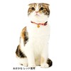 Petio Cat Collar Anycat Fish Red