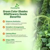 Outsidepride Green Wildflower Seed Mix - 5000 Pcs Annual, Vibrant,