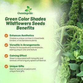Outsidepride Green Wildflower Seed Mix - 5000 Pcs Annual, Vibrant, Easy-to-Grow, Flower Seeds for Planting in Pollinator Gardens & Outdoor Landscapes, Ideal for Erosion Control & Enhancing Landscapes