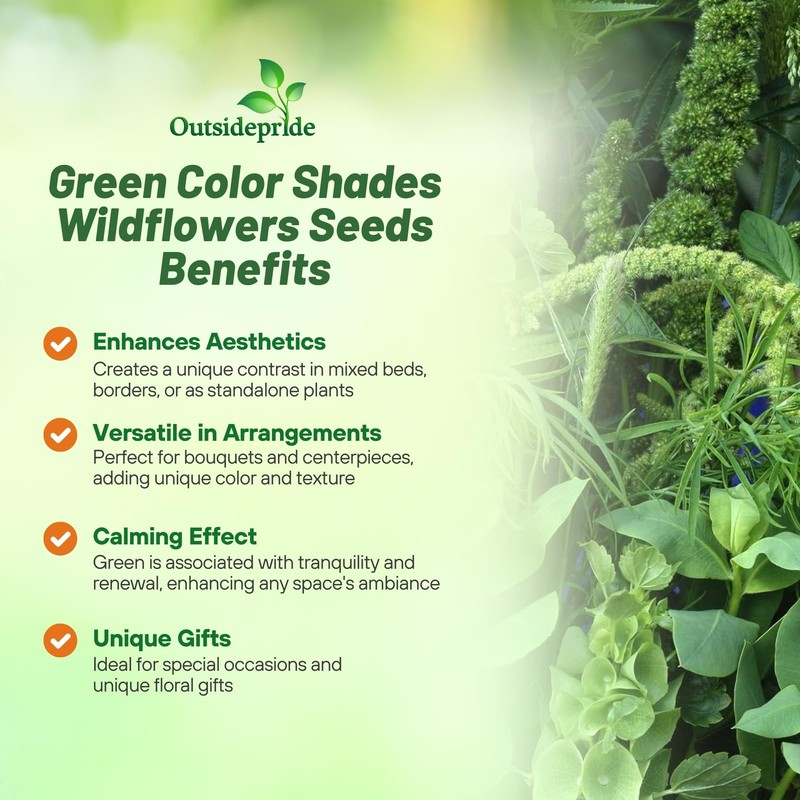 Outsidepride Green Wildflower Seed Mix - 5000 Pcs Annual, Vibrant,