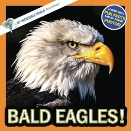 Bald Eagles!: A My Incredible World Picture Book for Children