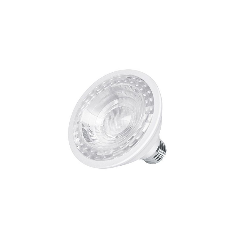 Aksi Foco Led PAR30, Luz Blanca, 12/95 W