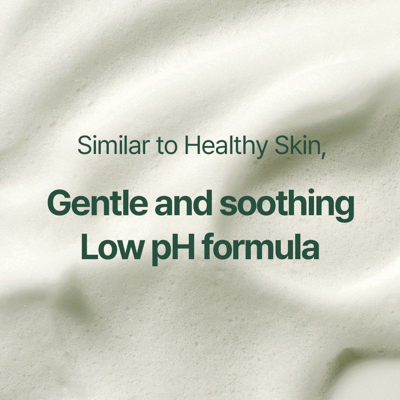 Pyunkang Yul [Pyunkang Yul]Calming Acne Cleansing Foam 100ml