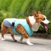 Dog Cooling Vest, Dogs Cooling Coat with Adjustable Buckle Summer