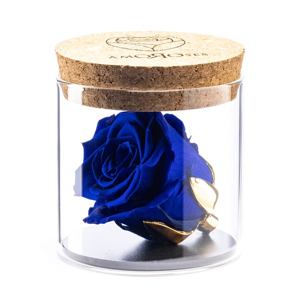 Amoroses Bijou - Rosa Stabilizzata Eterna con calice placcato oro 24K in barattolo di vetro | Idea Regalo (Rosa Blu Reale)