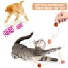 Feather Ball Cat Toy, Cat Springs, 21 Pcs Interactive Pet