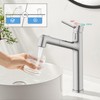 Vessel Sink Faucet with Pull Out Sprayer, Hurran Tall Bathroom