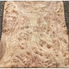 Carpathian Elm Burl wood veneer 9" x 9" raw no