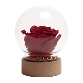 ROSEMARIE SCHULZ Heidelberg Rose in Glass Dark Red Round Beauty and the Beast Real Infinity Rose in Glass Bell (Medium, Burgundy)