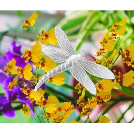 Dragonfly Oval Etched Window Decal Vinyl Glass Cling - 6" x 4" - Clear with White Design Elements