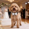 HDGDT White Dog Bow Tie Collar, Adjustable Formal Pet Collar