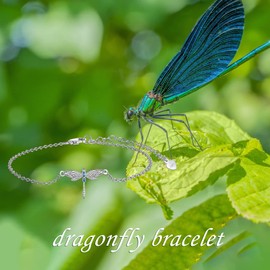 POPKIMI Sterling Silver Dragonfly Bracelet Dragonfly Lovers Celtic Jewelry Birthday Christmas Gifts for Women