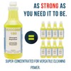 DETCO - Success 150 Detergent Degreaser Concentrate | Industrial-Strength, Biodegradable