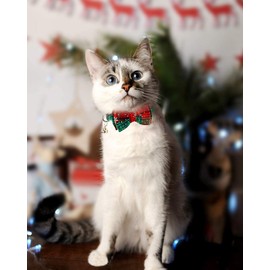 Joytale Upgraded Christmas Cat Collar with Bells, Breakaway Cat Collars with Bow Tie, 1 Pack Girl Boy Safety Plaid Kitten Collars, Christmas Green