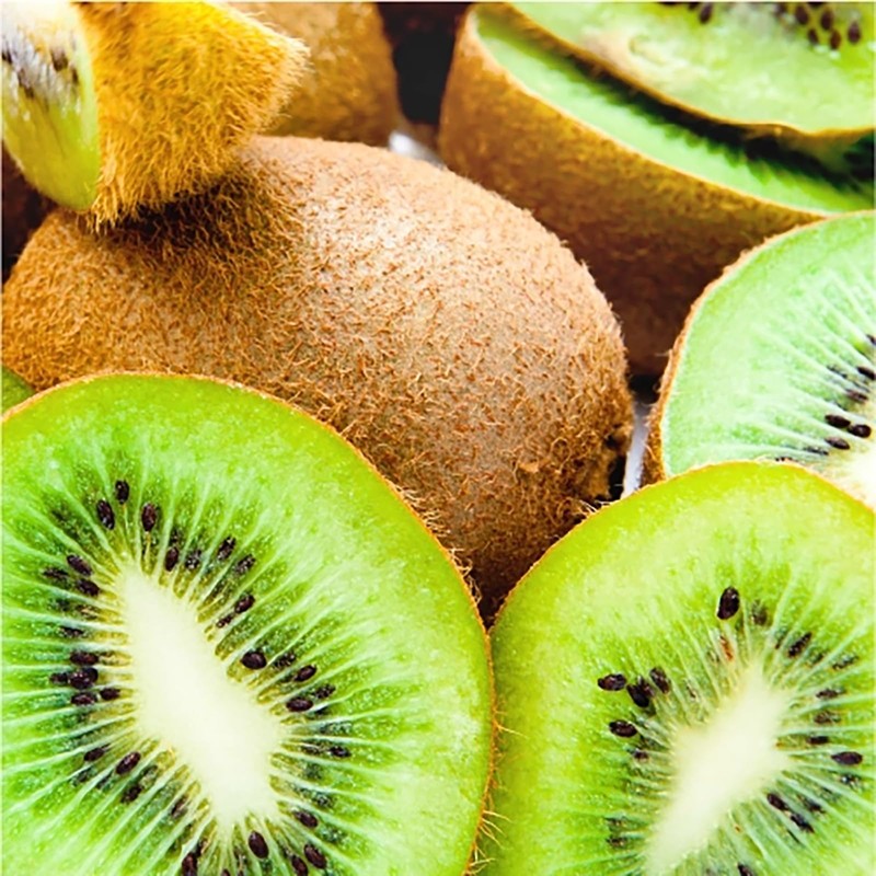 Biolù - Kiwi Solid Organic Shampoo 55g with Tin Container