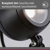 Paulmann 94776 LED Garden Spotlight Kikolo IP65 8 W 500