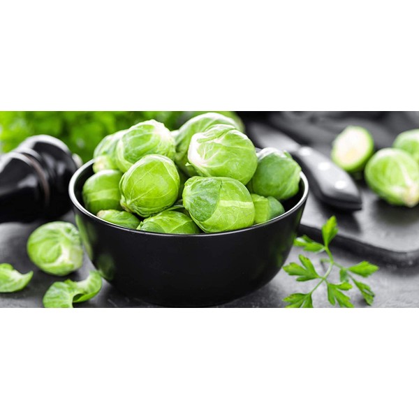 Brussels Sprout Seeds - 200+ Rare Heirloom Brussel Sprout Seeds (Long Island Improved) Yields 50-100 Sprouts per Plant! Guaranteed to Grow