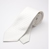 Enrico Gigli Formal Silk Necktie Pocket Square Set -