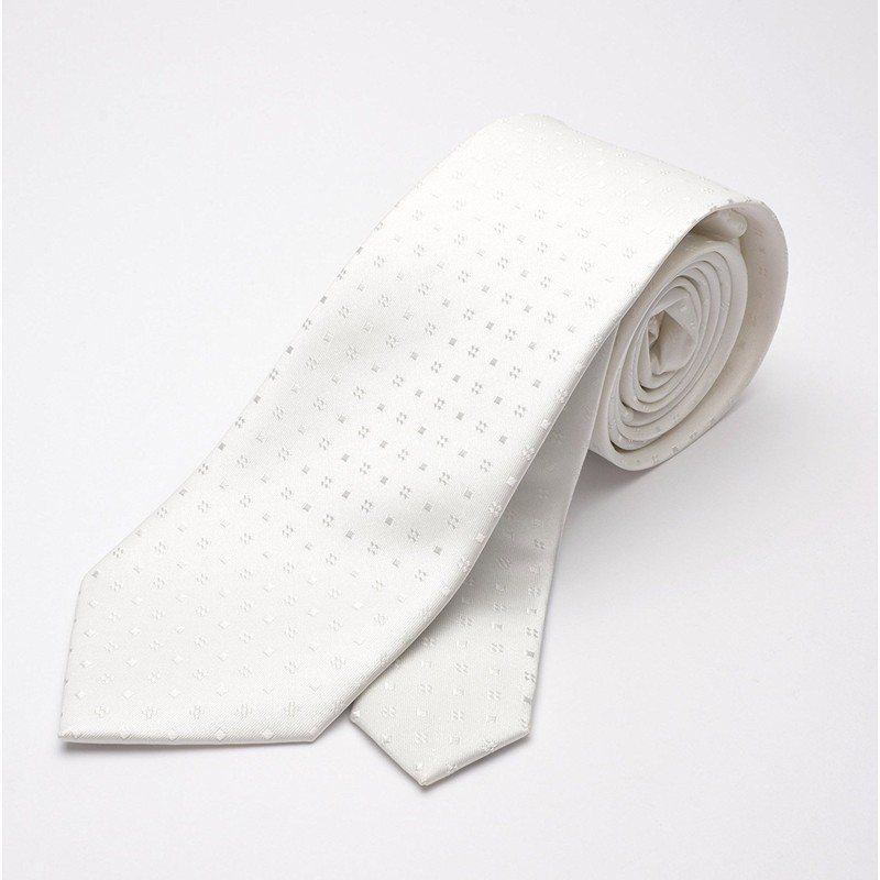 Enrico Gigli Formal Silk Necktie Pocket Square Set -