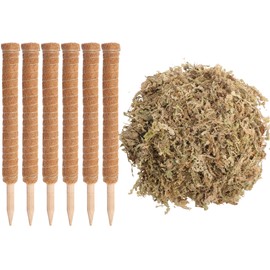 Knitgrip 118 Inch Stackable Moss Pole for Monstera Potted Plant Stakes - 6 Pack 19 Inch Plant Pole Stick for Plants Climbing Vine Supporting Monstera with Decorative 3.5 oz Pale Green Moss Crafts