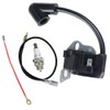 HUYUR Ignition Coil Module with Wires and Spark Plug for