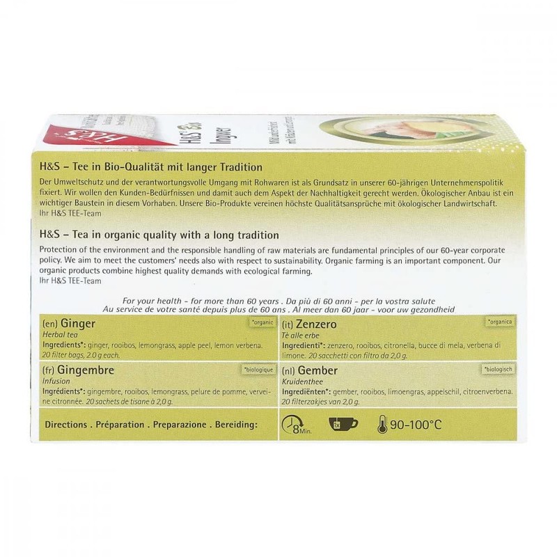 H&S Tee Bio Ingwer Filterbeutel, 20X2 g