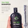 Challenger Tea Tree Shampoo - 16oz Sulfate Free w/Vitamins, Argan