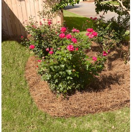 USA Pine Straw - Premium Pine Needle Mulch (Pine Needle Mulch - Covers 100 Sqft 1 Set)
