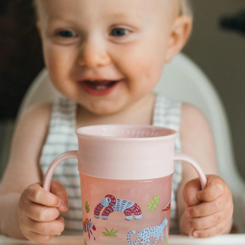 Dr. Brown's Dr Brown's Milestones Cheers 360 Spoutless Cup with