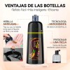 Kaisasa Champú Para Tinte De Cabello marrón oscuro 3 En