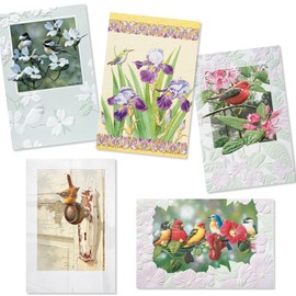 Pumpernickel Press Sweet Songbirds Deluxe Birthday Card Assortment – Set of 30