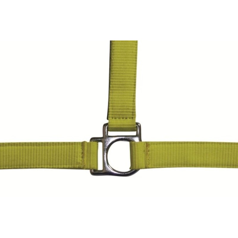 HKM Stars 558526 Headcollar Thoroughbred Dark Blue