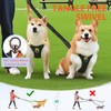 Double Dog Lead No Tangle, No Tangle Split Lead for