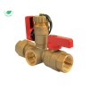 Libra Supply Thread 3/4'' IPS Tankless Water Heater Service Valve
