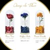 OB-EGN-6-1 Champ de Fleur OB-EGN-6-1 Bath Salt, Osmanthus Scent, Charmant
